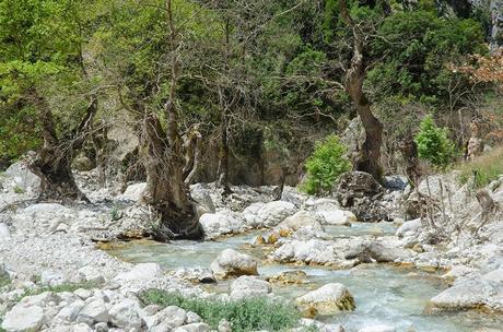 Albania 17: Il greto del Sushica