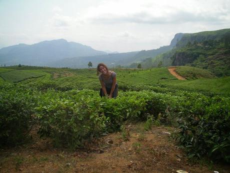 Sri Lanka: Embilipitya e Newara Elia