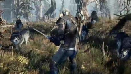 the witcher 3 wild hunt 0408