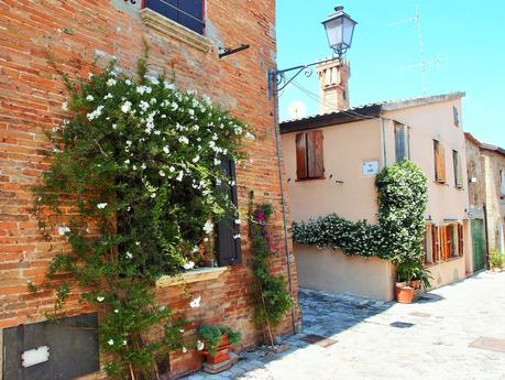 Un buen retiro nella Santarcangelo antica...la casa di Manuela e Renzo.