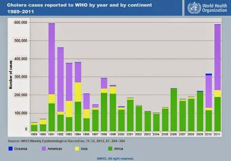 Colera. Ancora difficile la sua sconfitta in Africa