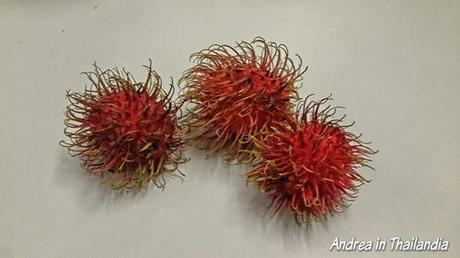 Il rambutan, quel riccio dolce del sudest asiatico