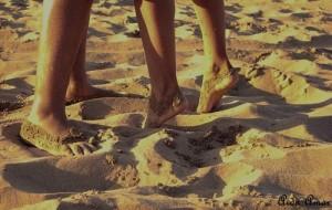 oroscopo_ginny_agosto