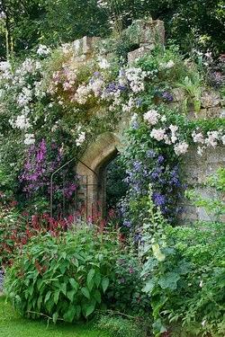 GARDEN HISTORY - The Victorian Walled Garden.