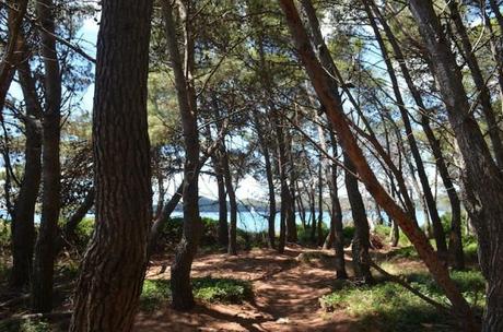 Biograd na Moru, Croazia