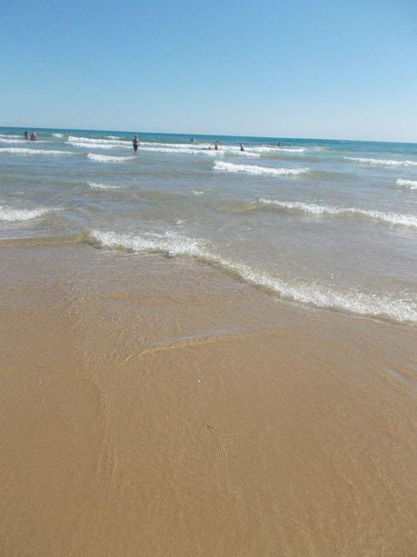 Gandía…shore?! Gandía…shore?!