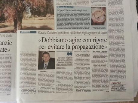 Xylella fastidiosa subspecie pauca: l'intervento del presidente del Consiglio dei dottori agronomi e forestali della provincia di Lecce - Quotidiano del 5 agosto 2014