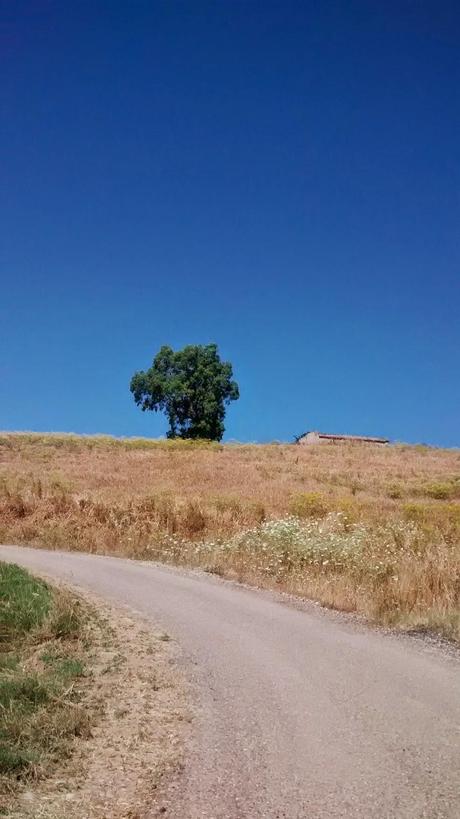 Il viaggio e i viaggiatori secondo Pessoa passando per San Felice