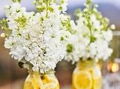 Limoni tavola estiva