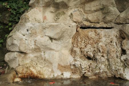 Fontana della tartaruga06