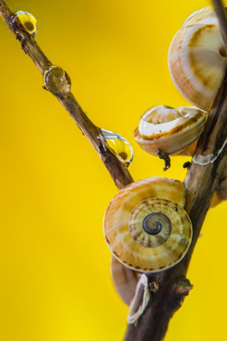 quarta sfida fotografica winner