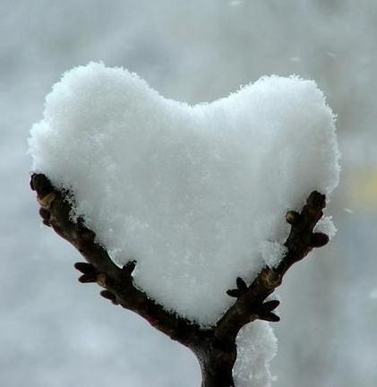 amore sulla neve