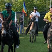 Palio dei Ciuchi di Barontoli