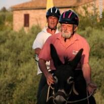 Palio dei Ciuchi di Barontoli