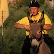 Palio dei Ciuchi di Barontoli