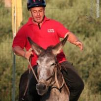 Palio dei Ciuchi di Barontoli