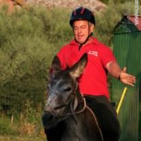 Palio dei Ciuchi di Barontoli