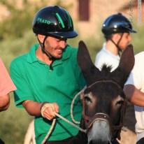 Palio dei Ciuchi di Barontoli