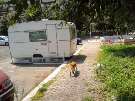 Colli Albani, come tutta Roma, è terra di nessuno. La disperazione dei residenti per un degrado che non era, in queste proporzioni, neppure immaginabile