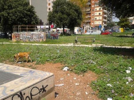 Colli Albani, come tutta Roma, è terra di nessuno. La disperazione dei residenti per un degrado che non era, in queste proporzioni, neppure immaginabile