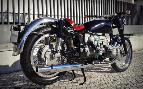 Mancha Negra Flatracer