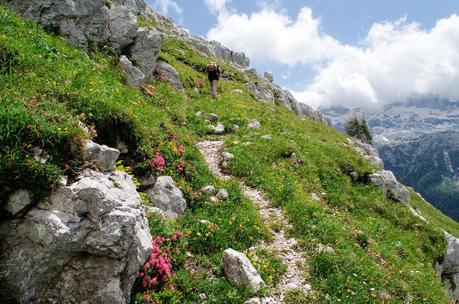 MONTE CREGNEDUL