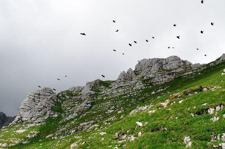 MONTE CREGNEDUL