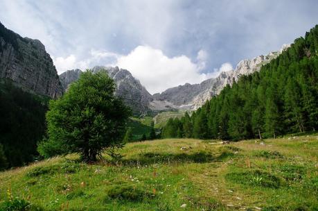 MONTE CREGNEDUL