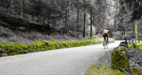 #bdc #08082014 #rifugio #revolto #veloveronese #montagna #lessinia