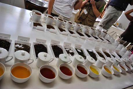 Un'esperienza unica: la degustazione del tè tra le dolci colline d'Africa