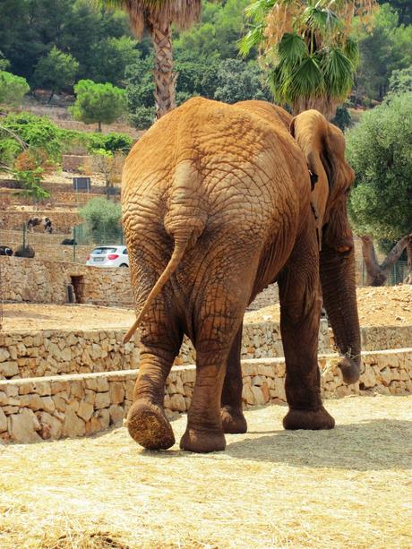 Salento holidays : zoo safari