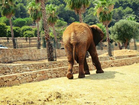 Salento holidays : zoo safari