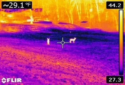 Scie chimiche: smontata 