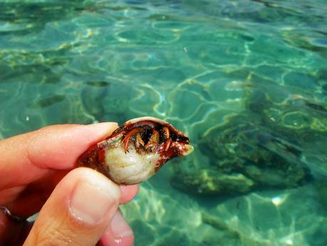 Salento underwater