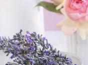 Rêves D’argile pour fleurs
