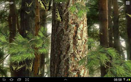  Butterflies 3D live wallpaper   splendido sfondo naturalistico per i vostri Android