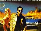 Cuore Selvaggio Frasi Celebri