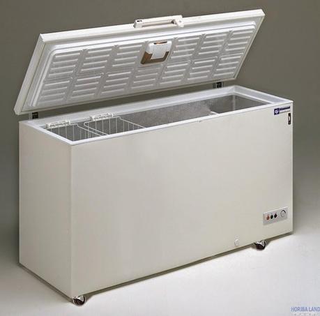 Odori sgradevoli nel congelatore | Varie