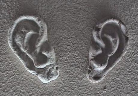 Orecchie, consigli casalinghi | Varie