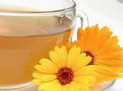 Infuso Calendula
