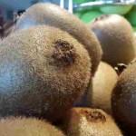 samsung-galaxy-alpha-5