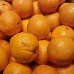 Samsung Galaxy Alpha Come scatta le foto la fotocamera da 12 Megapixel