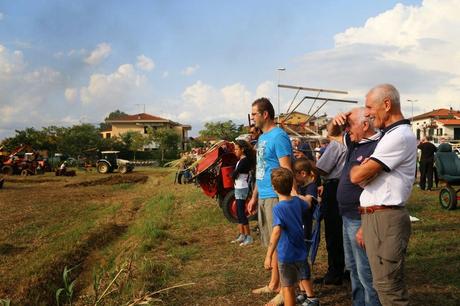 rievocazione storica della battitura, Isola