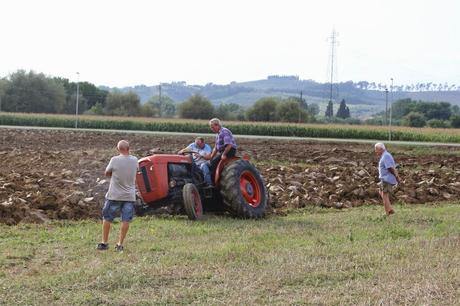 rievocazione storica della battitura, Isola