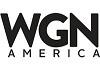 WGN ordina due nuove serie TV: un drama sugli Appalachi e uno sulla schiavitù