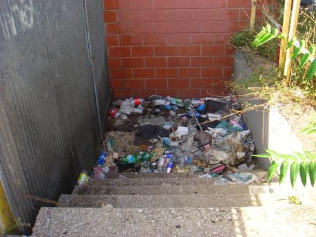 Tantissime foto da una fermata Rebibbia della metro B immersa nel degrado intollerabile. Le ha scattate il comitato di quartiere