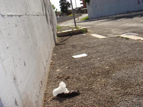 Tantissime foto da una fermata Rebibbia della metro B immersa nel degrado intollerabile. Le ha scattate il comitato di quartiere