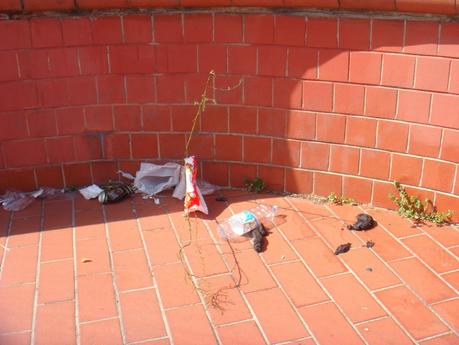 Tantissime foto da una fermata Rebibbia della metro B immersa nel degrado intollerabile. Le ha scattate il comitato di quartiere