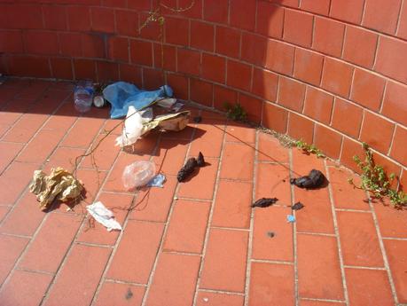 Tantissime foto da una fermata Rebibbia della metro B immersa nel degrado intollerabile. Le ha scattate il comitato di quartiere