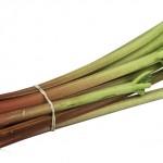 CSA-Rhubarb